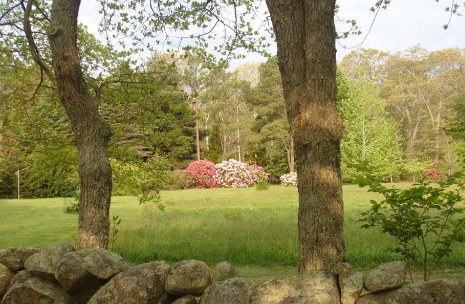 Polly Hill Arboretum, United States